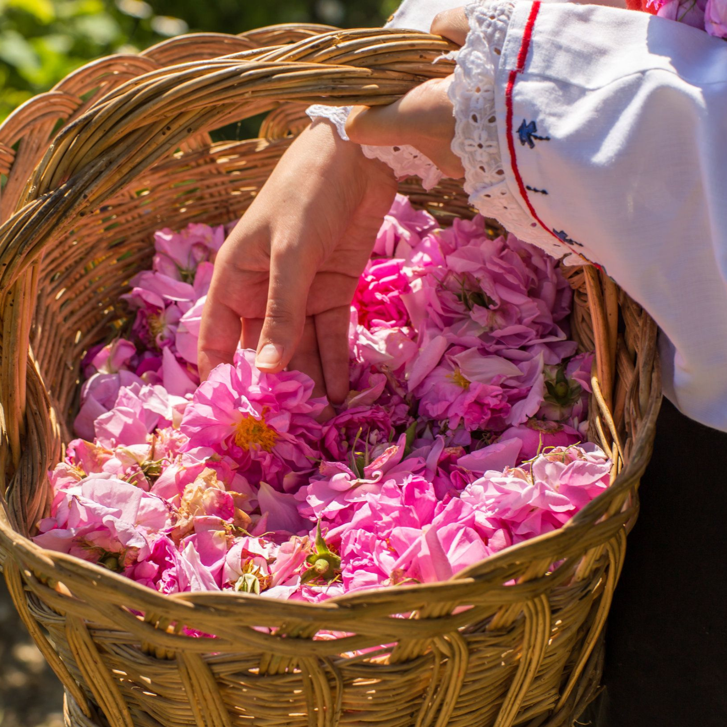 Ruusuvesi luomu 19,50€