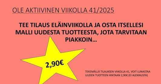41 viikon aktiviteetti