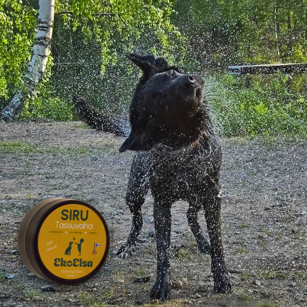 Siru tassuvaha 16,90€